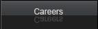 Careers